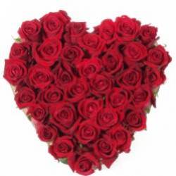 c mon coeur